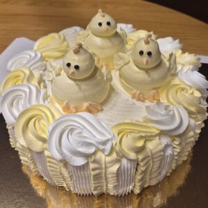 tibudega sefiiritort